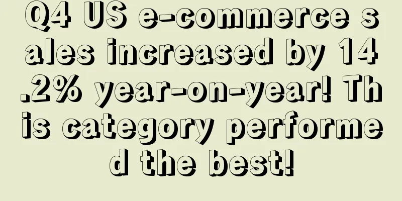 Q4 US e-commerce sales increased by 14.2% year-on-year! This category performed the best!