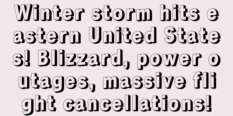 Winter storm hits eastern United States! Blizzard, power outages, massive flight cancellations!