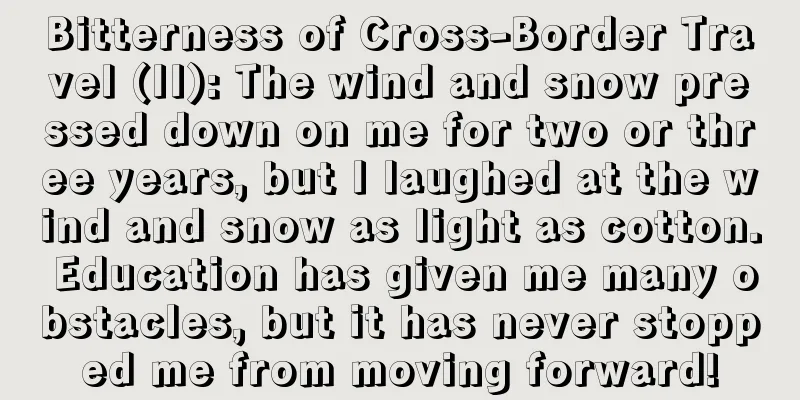 Bitterness of Cross-Border Travel (II): The wind and snow pressed down on me for two or three years, but I laughed at the wind and snow as light as cotton. Education has given me many obstacles, but it has never stopped me from moving forward!