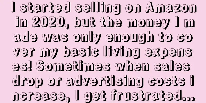 I started selling on Amazon in 2020, but the money I made was only enough to cover my basic living expenses! Sometimes when sales drop or advertising costs increase, I get frustrated...