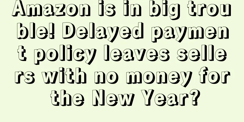 Amazon is in big trouble! Delayed payment policy leaves sellers with no money for the New Year?