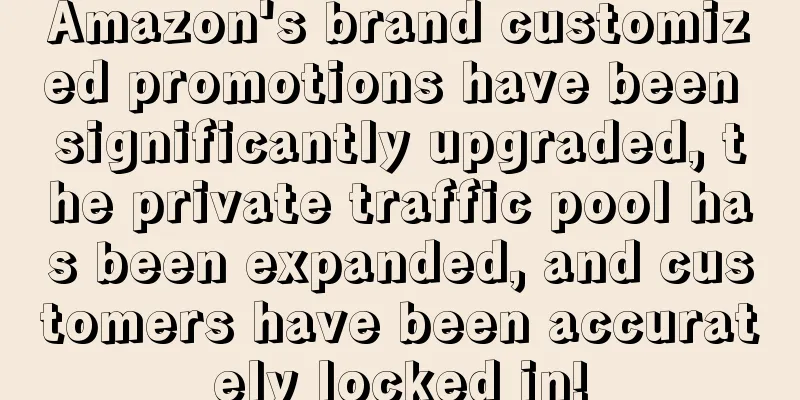 Amazon's brand customized promotions have been significantly upgraded, the private traffic pool has been expanded, and customers have been accurately locked in!