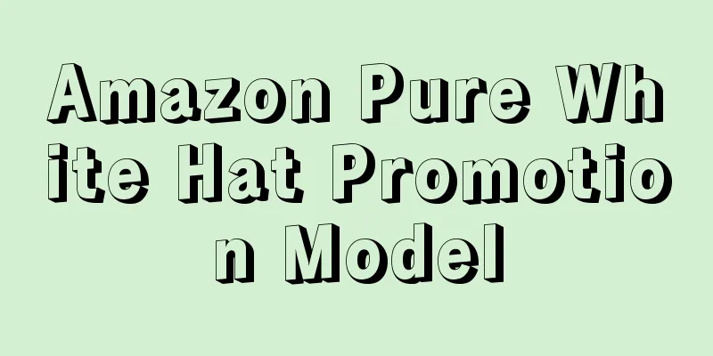 Amazon Pure White Hat Promotion Model