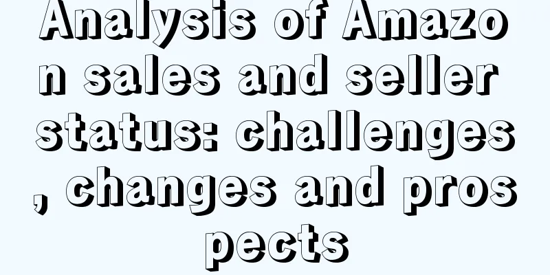 Analysis of Amazon sales and seller status: challenges, changes and prospects