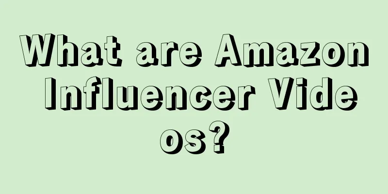 What are Amazon Influencer Videos?