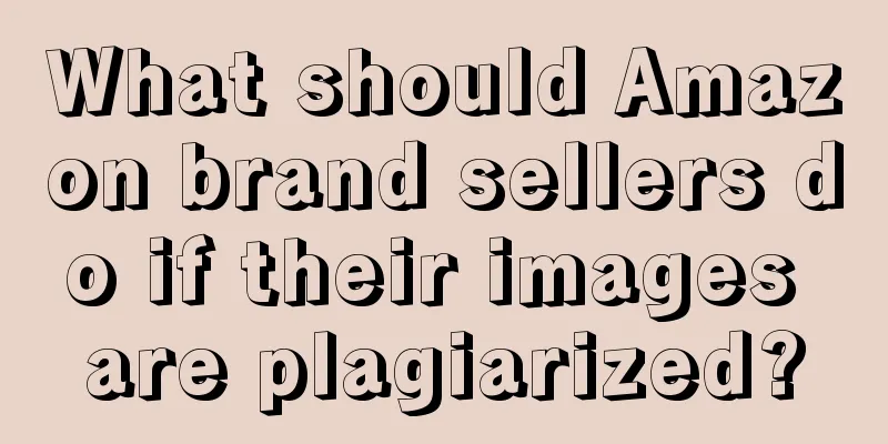 What should Amazon brand sellers do if their images are plagiarized?