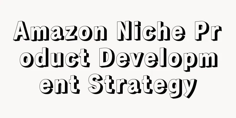 Amazon Niche Product Development Strategy