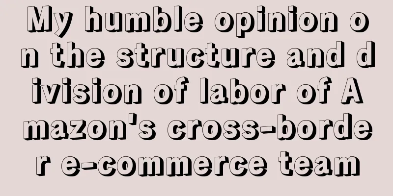 My humble opinion on the structure and division of labor of Amazon's cross-border e-commerce team