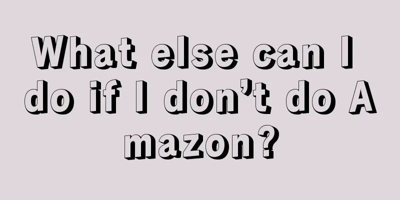 What else can I do if I don’t do Amazon?