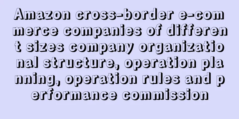 Amazon cross-border e-commerce companies of different sizes company organizational structure, operation planning, operation rules and performance commission