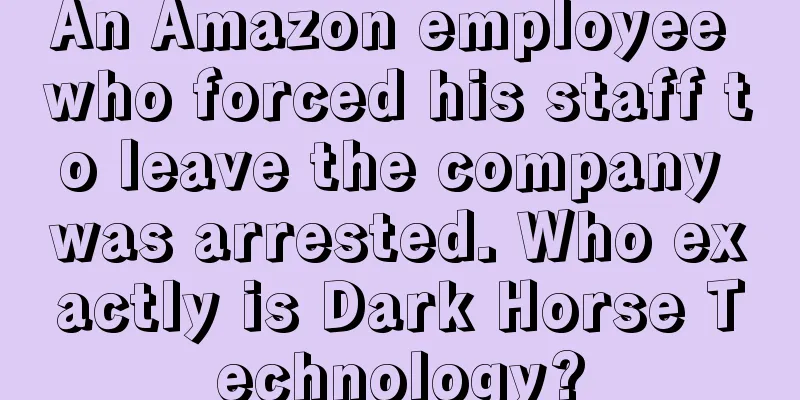 An Amazon employee who forced his staff to leave the company was arrested. Who exactly is Dark Horse Technology?